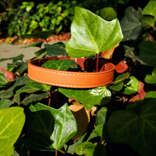 Load image into Gallery viewer, Luxe Vegan Leather Collars - Small / Luxe Orange - Medium / Luxe Orange
