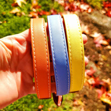 Load image into Gallery viewer, Luxe Vegan Leather Collars
