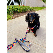 Load image into Gallery viewer, Mighty Dog Harness and Leash Set
