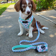 Load image into Gallery viewer, Over The Rainbow Dog Walking Bundle ( Adjustable Harness, Leash &amp; Waste Bag Holder) - Petponia
