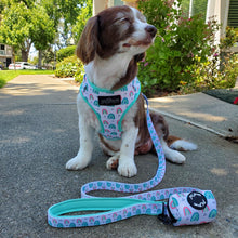 Load image into Gallery viewer, Over The Rainbow Dog Leash - Petponia
