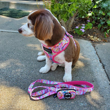 Load image into Gallery viewer, Tie Dye Dog Walking Bundle ( Adjustable dog Harness &amp; dog Leash) - Petponia
