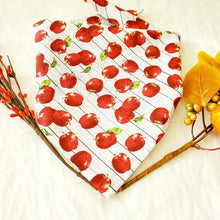 Load image into Gallery viewer, Sweet Apples Tie on Dog Bandana - Petponia
