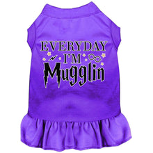 Load image into Gallery viewer, Everyday I&#39;m Mugglin Screen Print Dog Dress - Petponia
