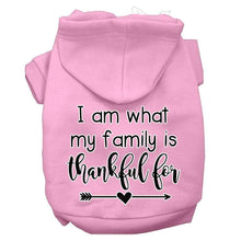 Load image into Gallery viewer, I Am What My Family is Thankful For Dog  Hoodie - Petponia

