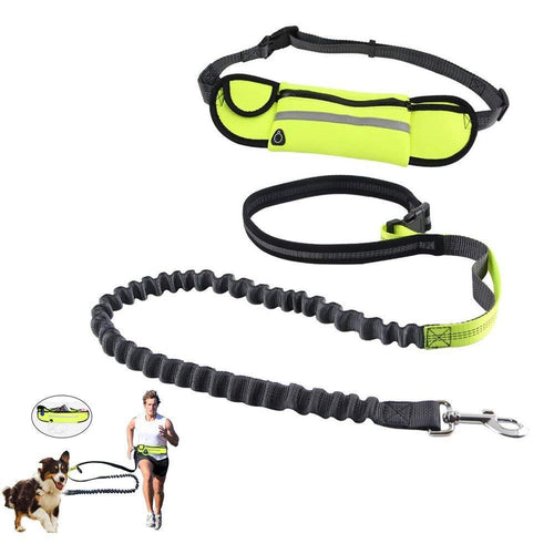 Handsfree Bungee Dog Leash with a Waist Multi-Purpose Bag - Petponia