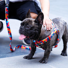 Load image into Gallery viewer, Mighty Dog Leash
