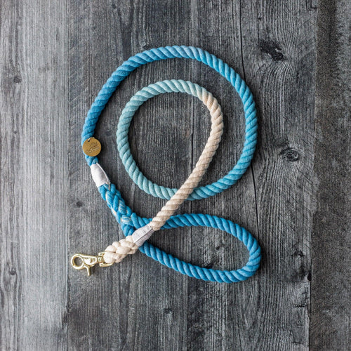 Rope Leash - Blue Ocean