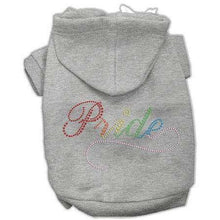 Load image into Gallery viewer, Rainbow Colored Pride Hoodies - Petponia
